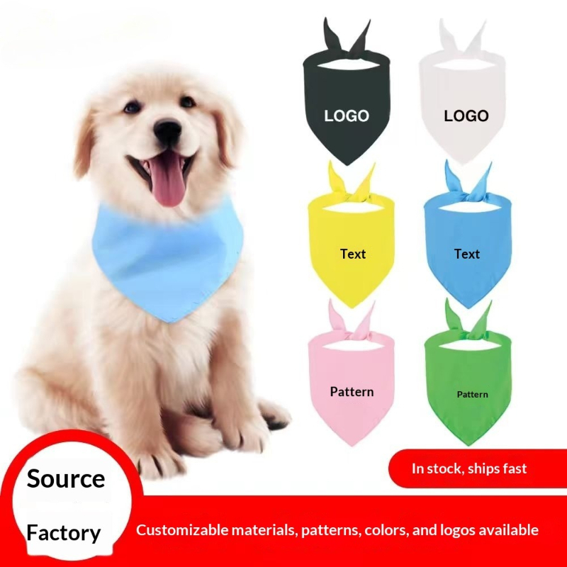 Wholesale Men Women Wedding Pa - Company Profile Printing review and price