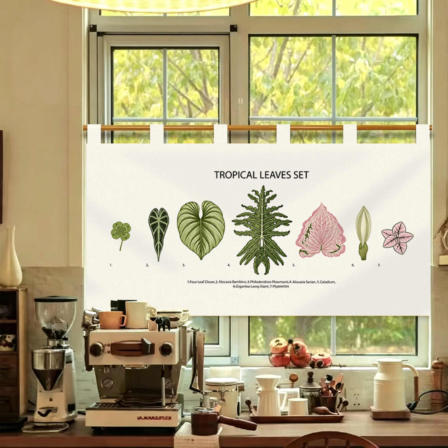 VIKAMA Vintage Hand Drawn Nore - Commercial Printing Rates review and price